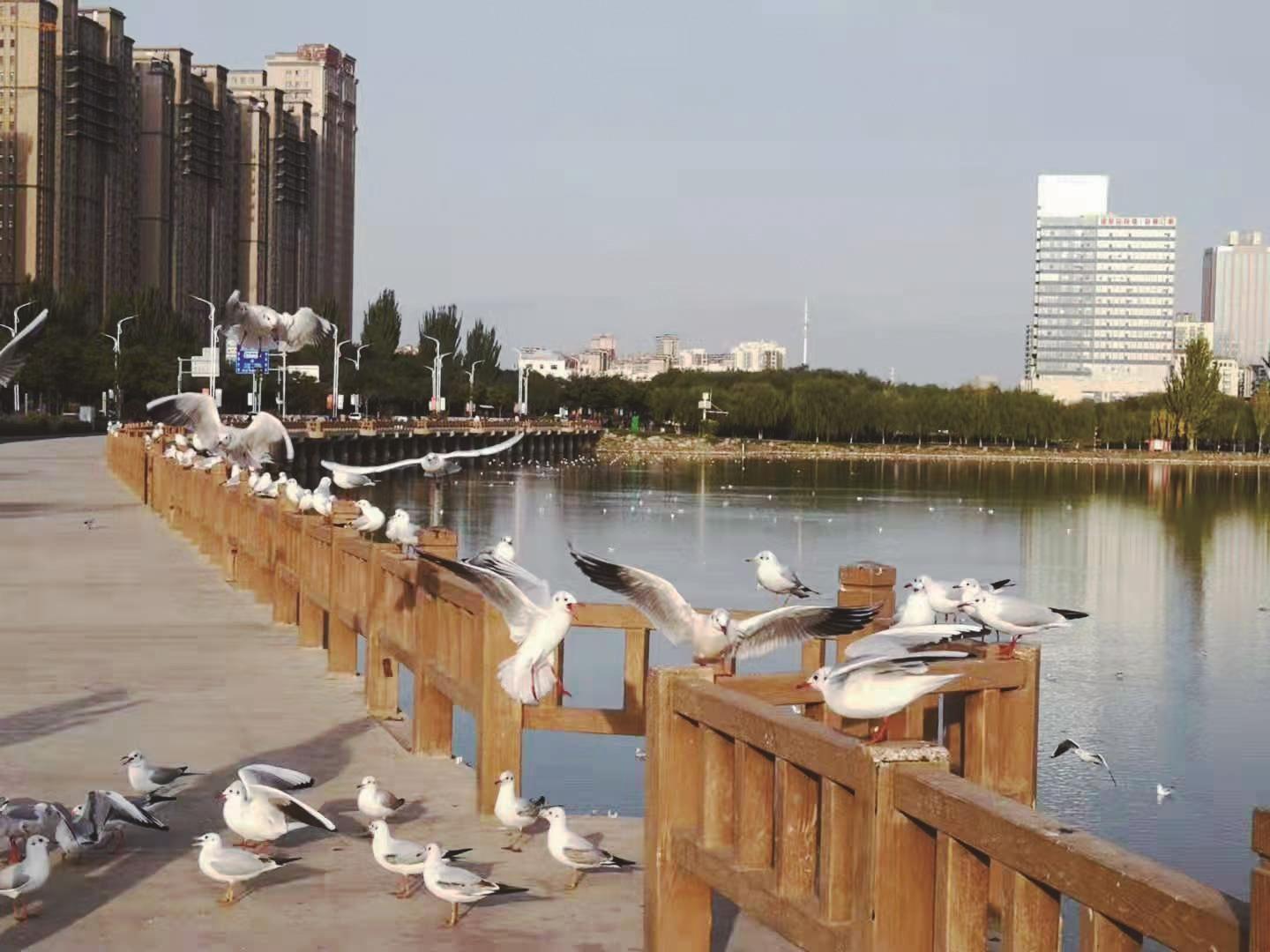 728b6e47-116c-4636-acc0-e1585e60a5b4.jpg 728b6e47-116c-4636-acc0-e1585e60a5b4.jpg